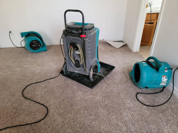 Best Carpet water damage restoration  in Keizer, OR