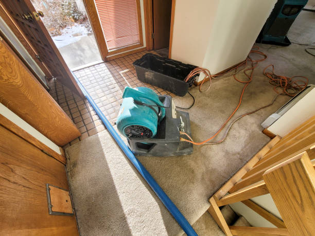 Best 24-hour water damage restoration  in Keizer, OR