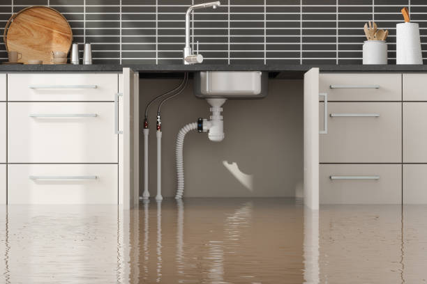 Best Basement water damage restoration  in Keizer, OR