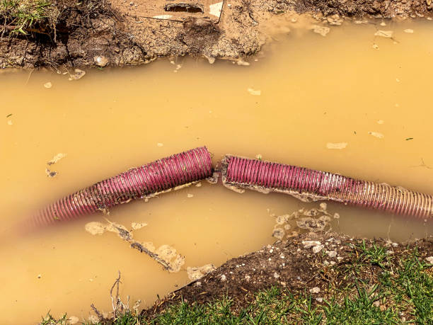 Professional Water damage restoration in OR